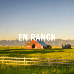 Séminaire insolite ranch Cap Fusion Agence Evènementiel 