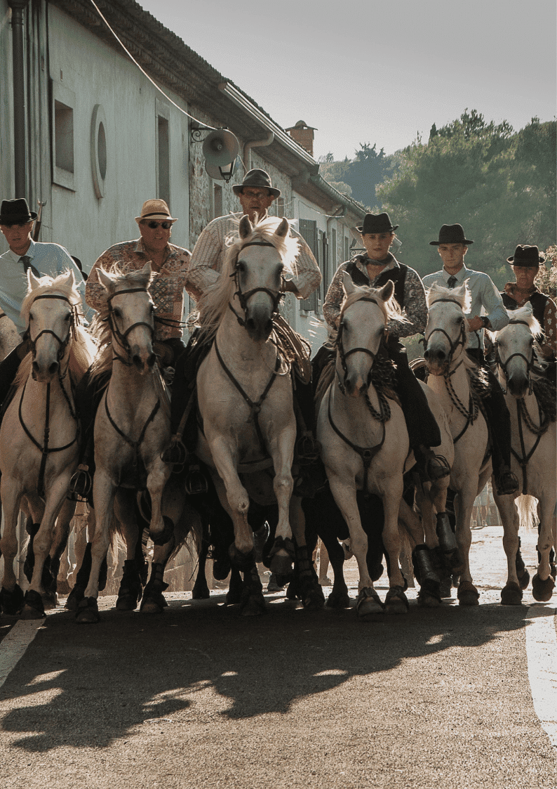 Séminaire en Camargue Cavaliers Cap Fusion Agence Evènementiel  