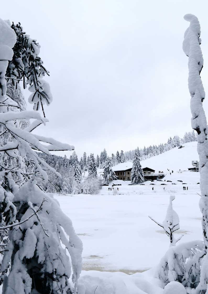 VOSGES-HIVER-comp Séminaire en montagne