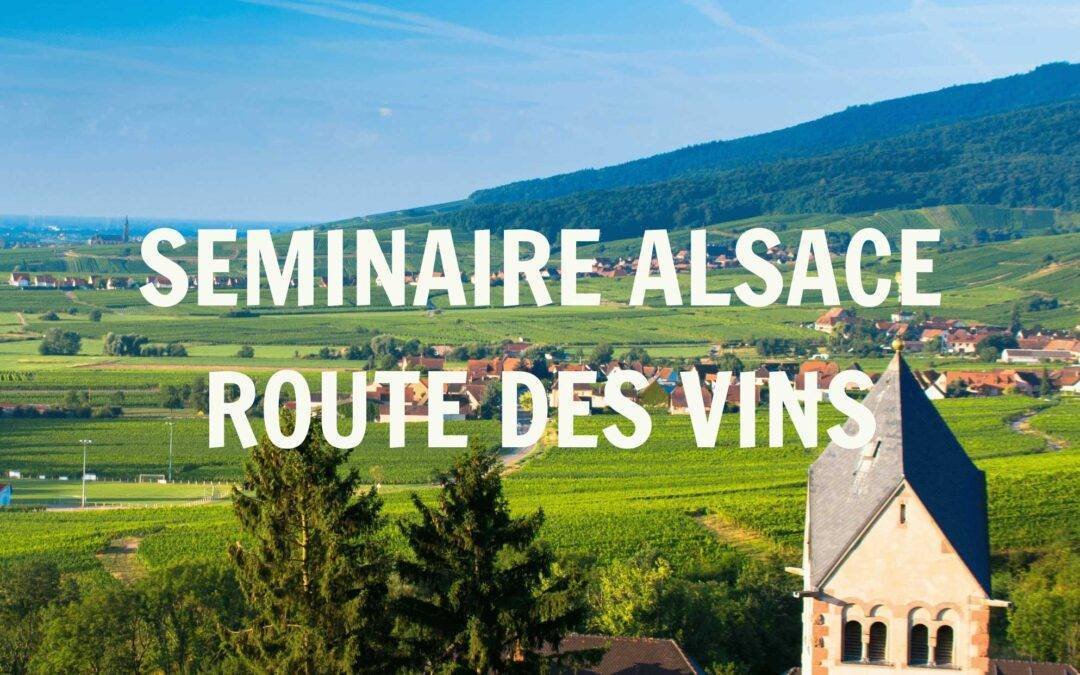 Séminaire en Alsace sur la route des vins