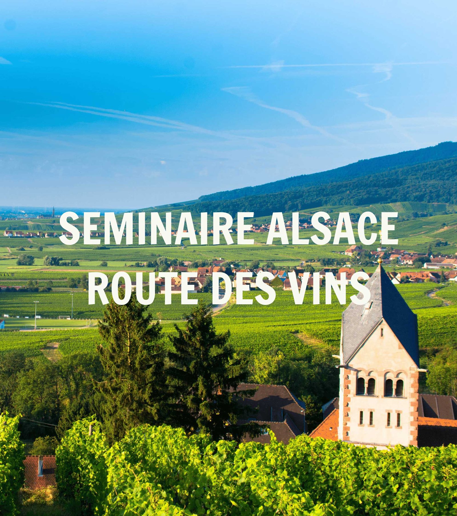 Séminaire en Alsace