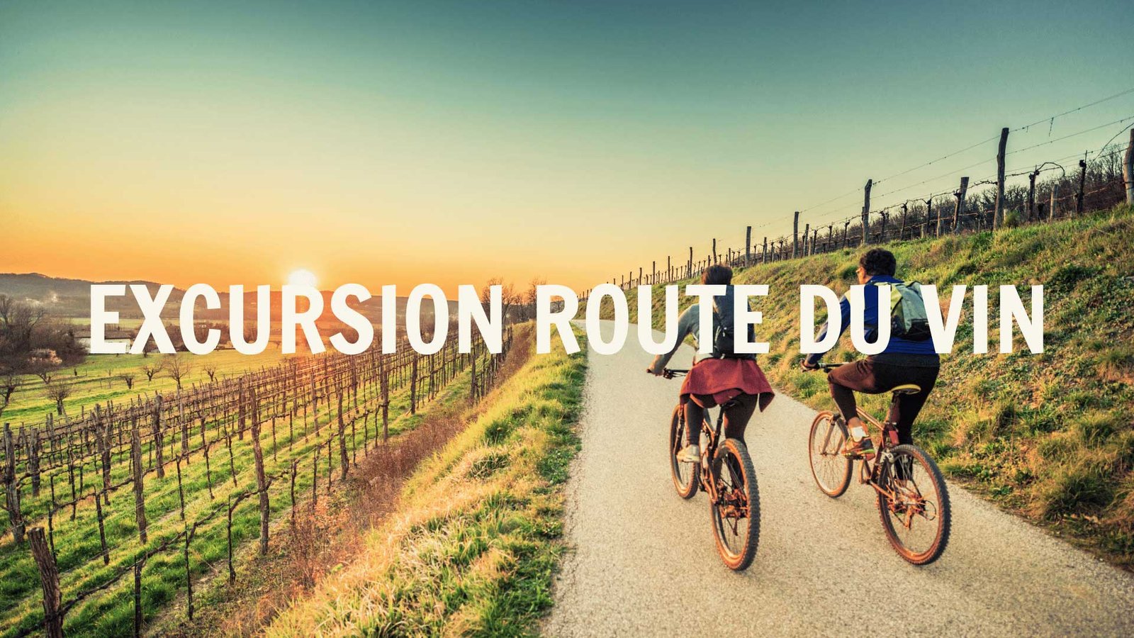 Excursion sur la route des vins Séminaire à Colmar Agence Evènementiel Cap Fusion