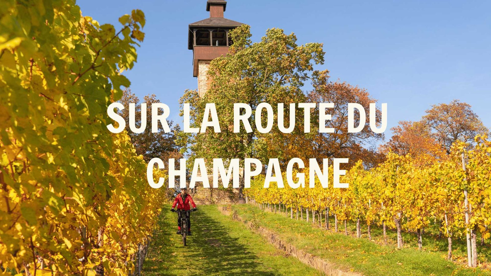 Activités route du champagne séminaire à Reims agence Evènementiel Cap Fusion