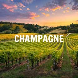 Champagne Agence Evènementiel Cap Fusion