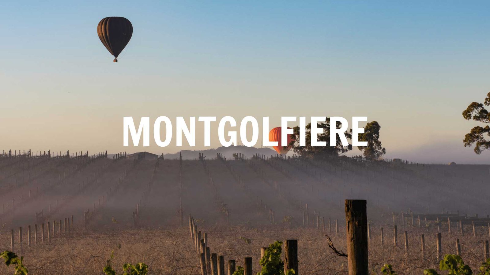 Montgolfiere Top 8 Team building en Champagne Agence Evènementiel Cap Fusion