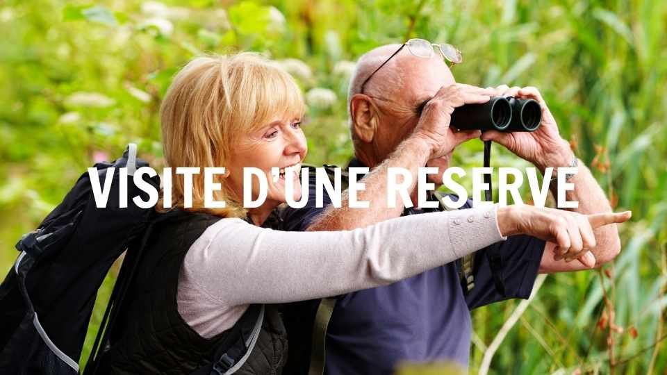 Visiter une reserve Top 6 des team building insolites en Baie de Somme Agence Evènementiel Cap Fusion