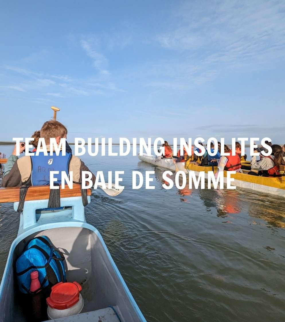 Top 6 des team building insolites en Baie de Somme Agence Evènementiel Cap Fusion