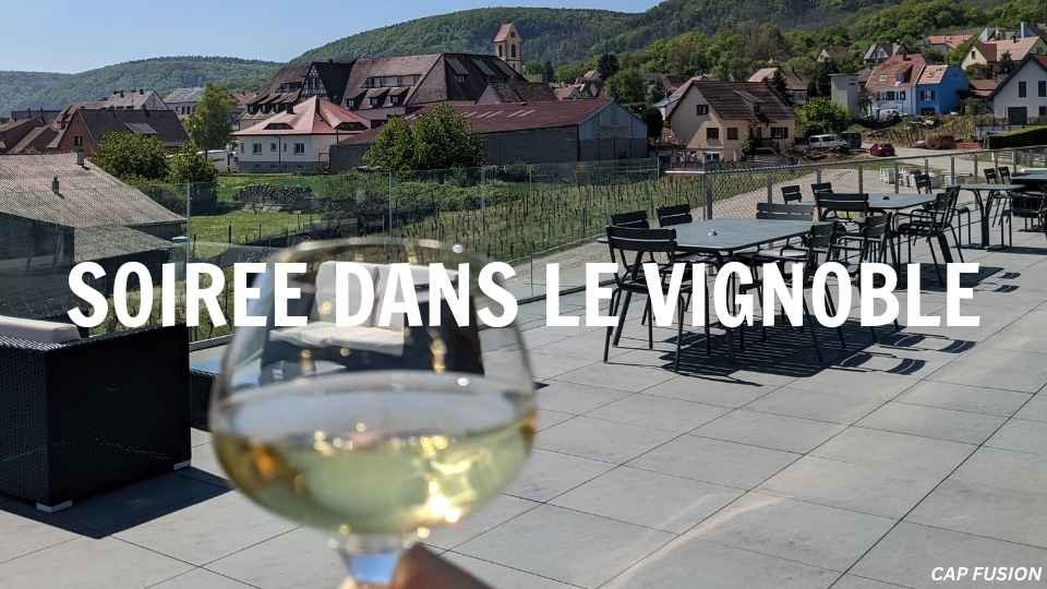 Soirée entreprise Alsace insolite originale route des vins vignoble Soirée dans un vignoble - 8 idées originales pour organiser votre soirée d’entreprise en Alsace - Agence Evènementiel Cap Fusion